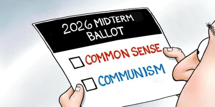 Your ballot made simple * WorldNetDaily * by A.F. Branco