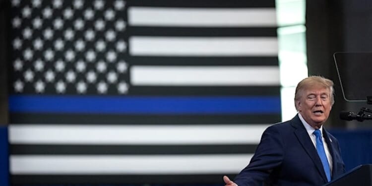 Blue cities, counties in red states sue Trump over election-grant conditions * WorldNetDaily * by Fred Lucas, The Daily Signal