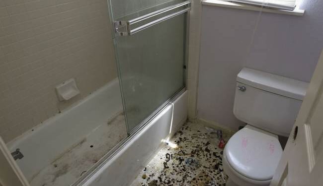 Berlin's Ministry of Bathrooms Decides One Shower Is Too Many – RedState