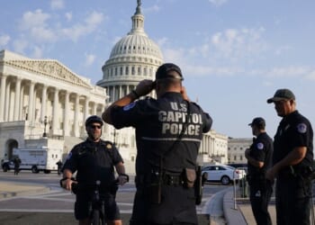 Capitol Police Find a Guillotine in a Pickup Truck — That's Not Even the Weirdest Part of the Story – RedState
