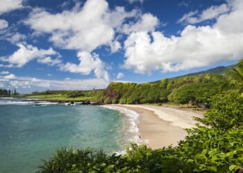 Dem Congressional Candidate Arrested for Terroristic Threats After Getting KO’d on Maui Beach – RedState