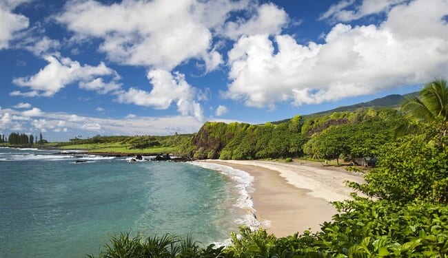 Dem Congressional Candidate Arrested for Terroristic Threats After Getting KO’d on Maui Beach – RedState