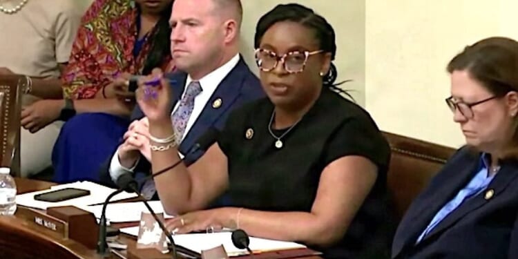 House Democrat’s attempt to evade her anti-ICE criminal case fails * WorldNetDaily * by Bob Unruh