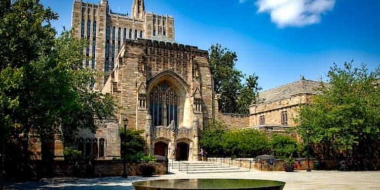 It’s the education, stupid * WorldNetDaily * by Jerry Newcombe