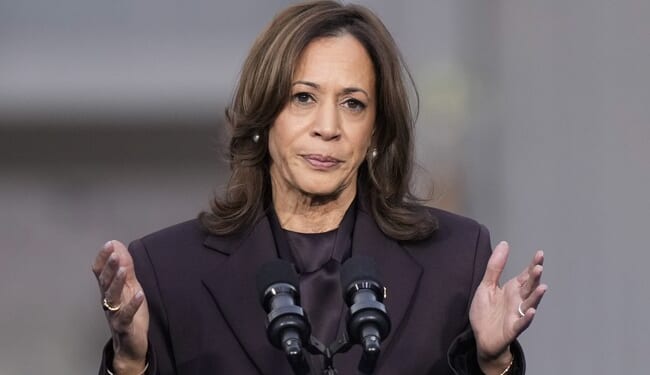 Kamala's Bizarre Remarks About 'Ruthlessness' Set Off Some Alarm Bells – RedState