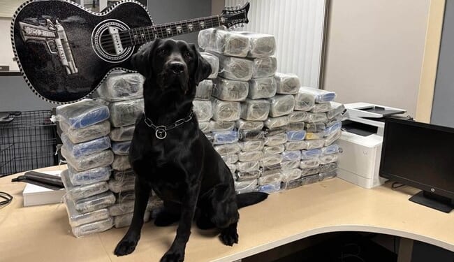 LA Port Police Bust Huge Alleged Sinaloa Cartel Meth Operation in CA Desert – RedState