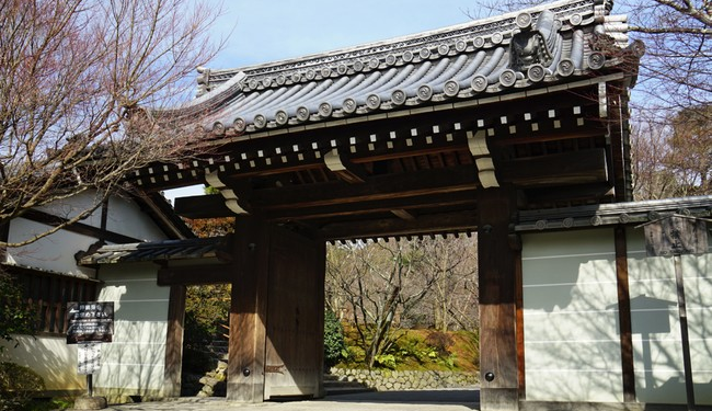 My American Family Tries to Decipher Life in Japan – RedState