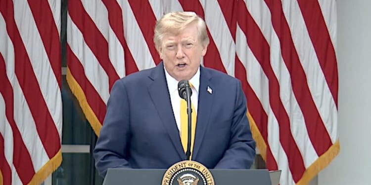 Watch Trump blast woke weaponizing of U.S. education * WorldNetDaily * by WND Staff
