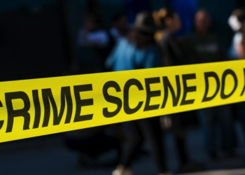 What?! High-Ranking NY Police Official Accused of Driving the Getaway Car for Her Gangbanger Son – RedState
