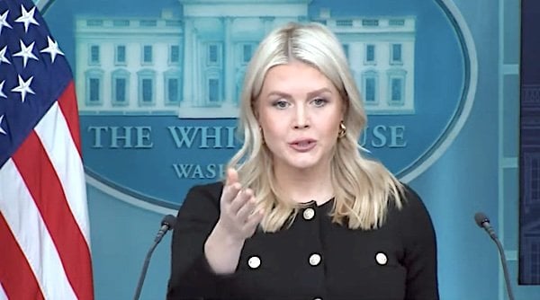 White House Press Secretary Karoline Leavitt (Video screenshot)