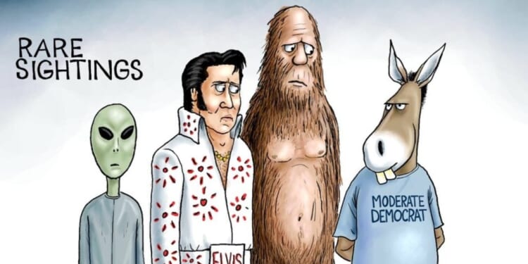 Rare sightings * WorldNetDaily * by A.F. Branco