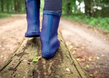 Stunning claims land mother on ‘abuse,’ ‘delinquency’ registries * WorldNetDaily * by Bob Unruh