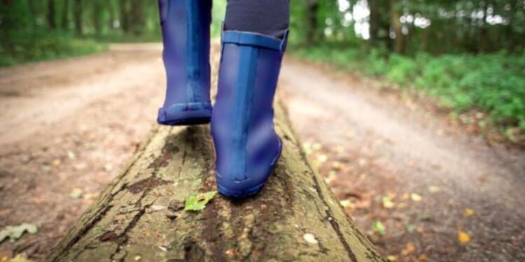 Stunning claims land mother on ‘abuse,’ ‘delinquency’ registries * WorldNetDaily * by Bob Unruh