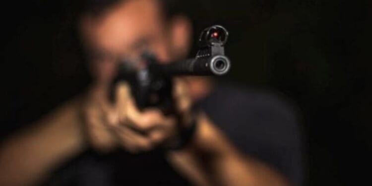 Anti-gun media outlet just sued DOJ * WorldNetDaily * by Harold Hutchison, Daily Caller News Foundation