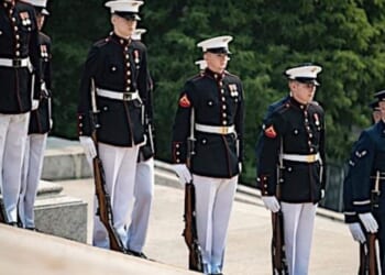 This September, Congress can deliver for U.S. veterans * WorldNetDaily * by Shaun Rieley, Real Clear Wire