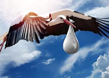 Republican lawmakers putting ‘criminal’ birth tourism under microscope * WorldNetDaily * by Ireland Owens, Daily Caller News Foundation