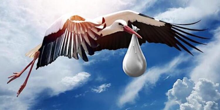 Republican lawmakers putting ‘criminal’ birth tourism under microscope * WorldNetDaily * by Ireland Owens, Daily Caller News Foundation