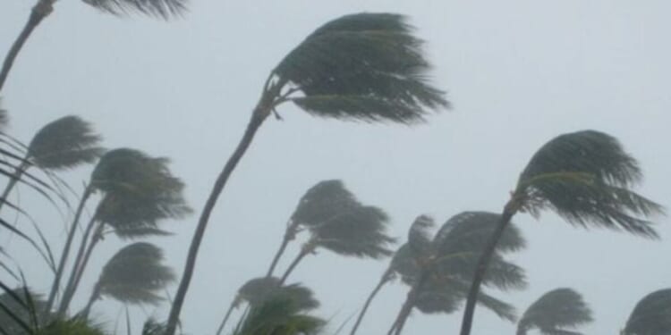 ZERO hurricanes formed by peak 2026 season, and climate alarmists hope you don’t hear about it