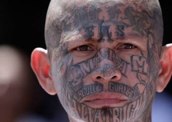 Another Machete Killing in New York, and Another Awkward Question for Sanctuary State Democrats – RedState