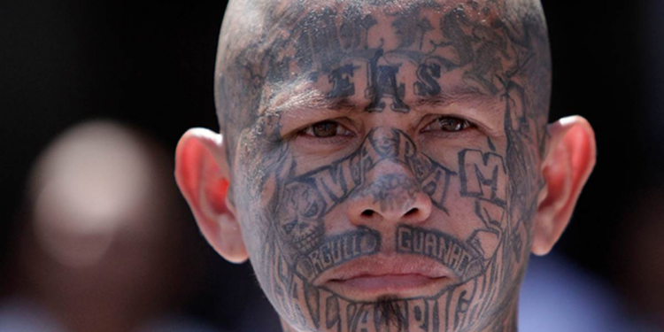 Another Machete Killing in New York, and Another Awkward Question for Sanctuary State Democrats – RedState