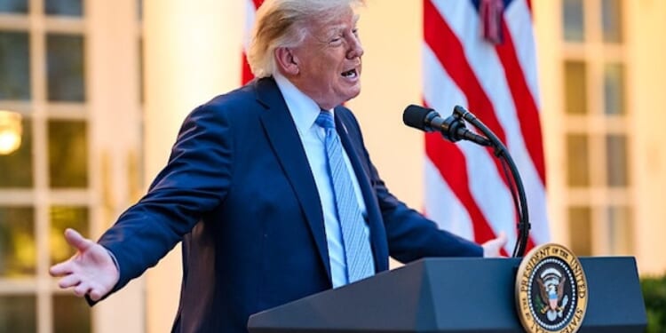 Trump-appointed judge gets media lawsuit over White House ban, but president is NOT happy * WorldNetDaily * by Joe Kovacs