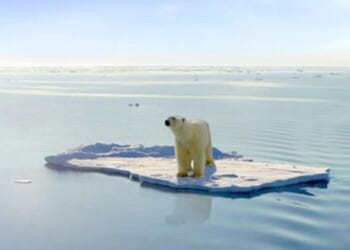 Ending carbon won’t stop climate change * WorldNetDaily * by Terrence Keeley, Real Clear Wire