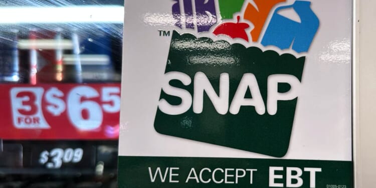 AG Secretary Brooke Rollins Announces Vast 'Operation SNAP Back,' Striking Almost 200 NYC Stores – RedState