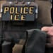DHS Identifies Murderer Who Killed California Woman As Indian Illegal Alien Released Under Biden – RedState