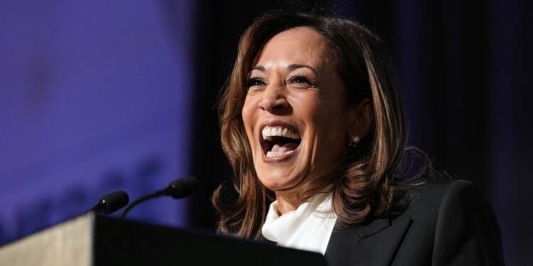 Friendly Media Forces Kamala to Admit Dems Are Probably Better Off Without Her – RedState