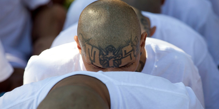 ICE Captures MS-13 Killer Known As 'The Witch.' A Biden Judge Just Let Him Go. – RedState