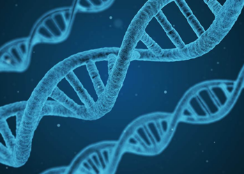 New Biohacker Company Plans to Create Real-Life Unicorns. What’s the Catch? – RedState