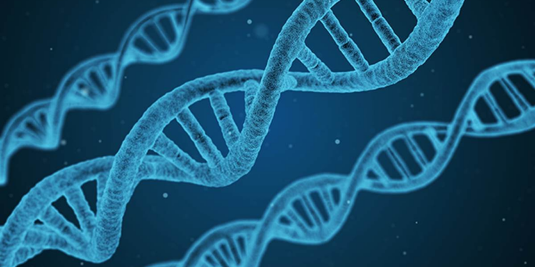 New Biohacker Company Plans to Create Real-Life Unicorns. What’s the Catch? – RedState