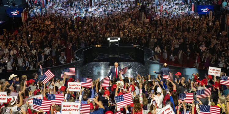 Republicans' Strategy to Combat the Radical Left Agenda
