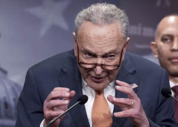 Senate Democrats Tank Popular Stock Ban to Halt Voter ID – RedState