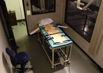 Tennessee's Death Penalty Team Under Scrutiny After Christa Pike's Botched Execution – RedState