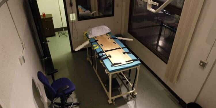 Tennessee's Death Penalty Team Under Scrutiny After Christa Pike's Botched Execution – RedState