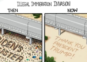 Trump transformation * WorldNetDaily * by A.F. Branco