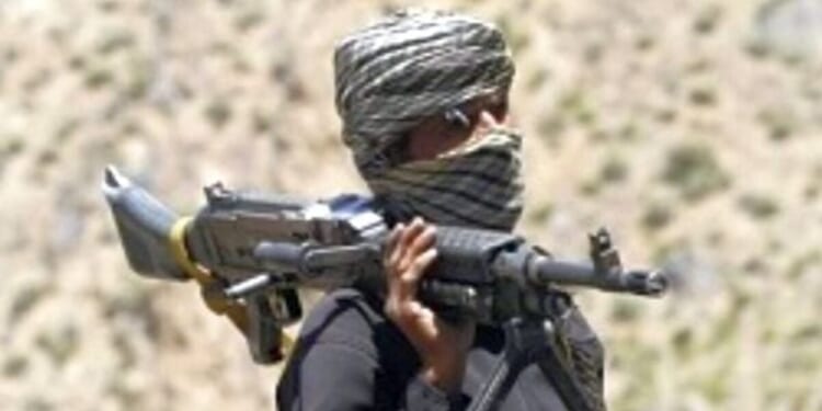 The Taliban as a partner with the U.S.? * WorldNetDaily * by Darrell Allen II, Real Clear Wire