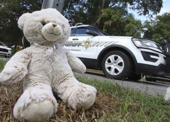 Texas Mom Shoots 4-Year-Old Daughter in Apparent Murder-Suicide After Custody Battle – RedState