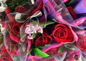 Stick With the Sisters (and Don't Forget the Flowers) – RedState