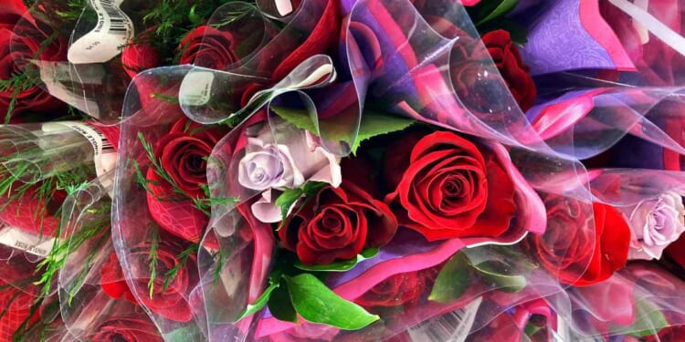 Stick With the Sisters (and Don't Forget the Flowers) – RedState