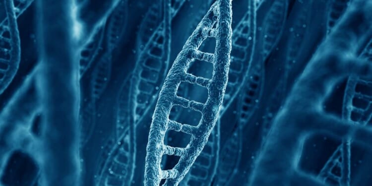 Soldiers Now Training to Fight Through Bioweapon Attacks – RedState