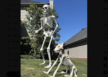Bone appetite! Watch spooky high-tech chase after woman allegedly steals giant skeletons from Home Depot right next to police station