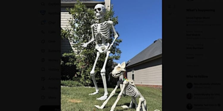 Bone appetite! Watch spooky high-tech chase after woman allegedly steals giant skeletons from Home Depot right next to police station