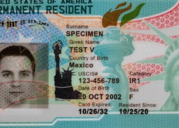 Trump Halted the Green Card Lottery After Deadly Shooting — a Biden Judge Just Ordered It Restarted – RedState