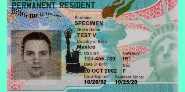 Trump Halted the Green Card Lottery After Deadly Shooting — a Biden Judge Just Ordered It Restarted – RedState