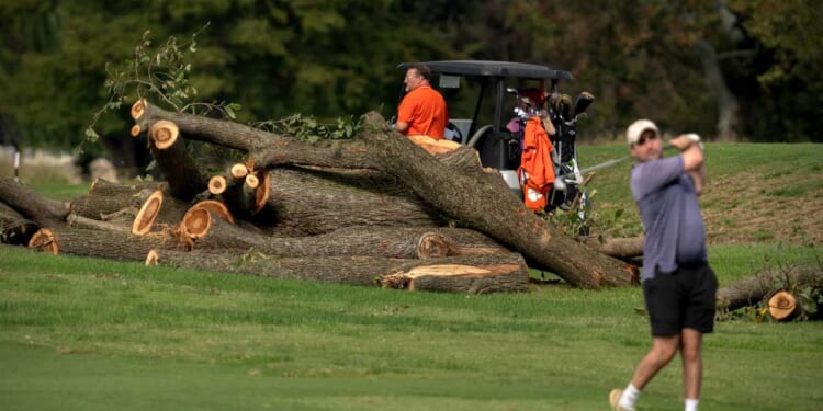 DOJ Moves to Disqualify Judge in Trump's DC Golf Course Fight – RedState
