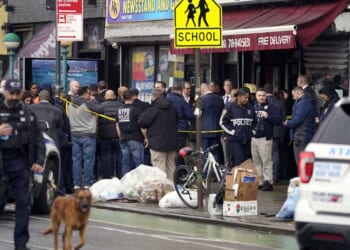 A Speeding Pickup, 700 Pounds of Drugs, and One Very Good Police Dog – RedState