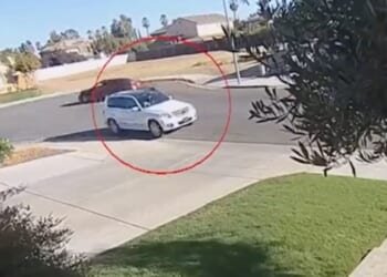 Lawmaker accused of stalking, blocking car of random man she thought was ICE * WorldNetDaily * by Pete Peterson, Daily Caller News Foundation