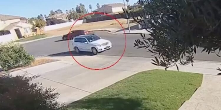 Lawmaker accused of stalking, blocking car of random man she thought was ICE * WorldNetDaily * by Pete Peterson, Daily Caller News Foundation